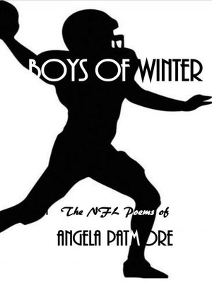 cover image of Boys of Winter